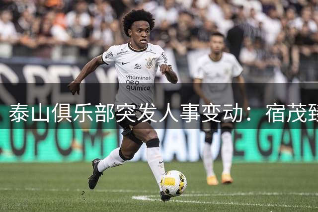 泰山俱乐部突发人事变动：宿茂臻韩鹏双双请辞 唐田临危受命