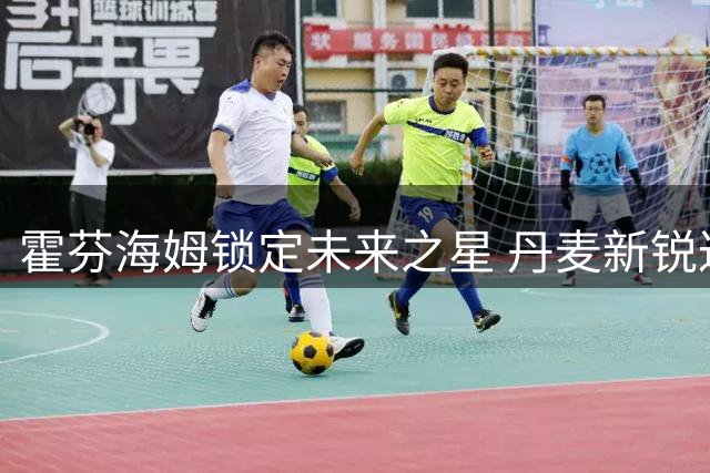 霍芬海姆锁定未来之星 丹麦新锐达希姆加盟德甲劲旅